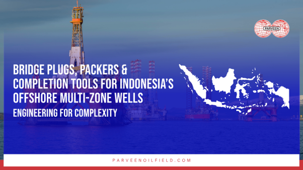 Bridge Plugs, Packers & Completion Tools for Indonesia’s Offshore Multi-Zone Wells: Engineering for Complexity