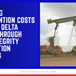 Parveen Industries' Niger Delta product portfolio is specifically configured for the sand, corrosion, and long-service life demands of Nigeria's onshore and shallow offshore producing environment.